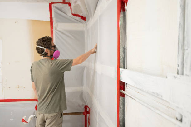 Professional Mold Removal in Fredonia, NY